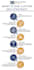 design professional infographic flowchart and  diagram