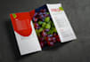 design brochure, flyer, tripod, bipod, posters