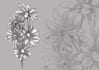 make botanical illustration with hand drawn