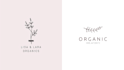 design botanical hand drawn logo