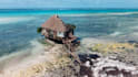 do professional color grading and color correction