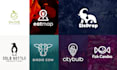 design a professional brand logo for your business