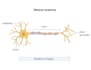 illustrate medical and biological diagrams