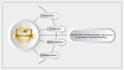 do significant custom logo animation in 24 hours
