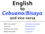 teach you the bisaya language