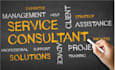 provide you with business consulting services