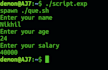 write bash shell scripts for linux, unix and windows