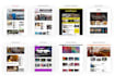 create wordpress online newspaper website or wordpress blog
