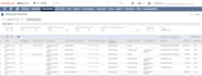 provide netsuite accounting, cleanup, and reconciliation