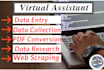 do web scraping, web scraper, data entry, and data mining in 12 hours