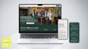 develop a wix studio website, professional and modern