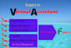 be your virtual assistant of data entry and web research