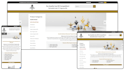 fix, customize, and redesign your volusion store