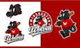 design custom cartoon mascot logo for your sports team, brand, club or college