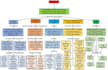 creare mapas mentales, mapas conceptuales, esquemas