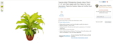 do amazon product listing