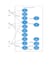 create software engineering uml diagrams