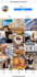make the best hashtags for your instagram post