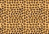 do leopard animal seamless repeat pattern for your fabric