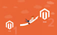 do development,  customization or anything in magento 1 and 2 website