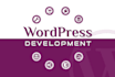 do joomla and wordpress customized sass website development for germany, USA etc