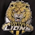 do professional embroidery digitizing in hours