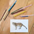 create animal watercolour illustration