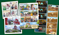 create custom comic strips