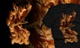 make a detailed dark tshirt illustration
