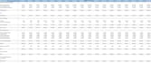 prepare financial model, projections, valuation, and analysis