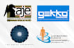 design a professional logo for your business