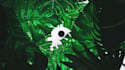 create nature tropical logo reveal