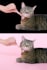 do bulk photo background removal