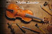 teach you to play violin from beginner to professional level