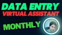 be virtual assistant for data entry, PDF conversion monthly support