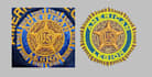 do embroidery design digitizing into dst