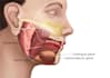 create medical and scientific illustration for publication
