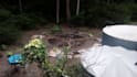 write you a blog on permaculture