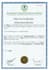 provide investor ready financial projections, forecasts and financial model
