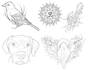create a tattoo stencil for thermal printing