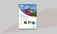 design professional business flyers, posters for real estate, events, sports
