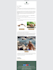 integrate shopify with mailchimp set up email automation popup