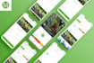 design UI UX of website or mobile application