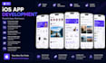 develop a professional ios app for iphone and ipad