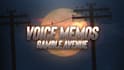create beautiful animated lyric video