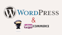 build a wordpress ecommerce website online store