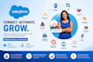 be your salesforce develope for apex, lwc, aura, visualforce and API integration