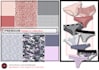design seamless textile print pattern for lingerie