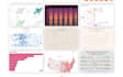 develop charts in d3 and cluster maps leaflet, mapbox,google