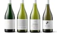 design an outstanding original wine label